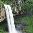 Las hortensias, celestes y rosas, no cesaban de aparecer a ambos lados del camino; habíamos salido temprano desde Gramado hacia nuestro destino de ese día: Canela, otra bonita ciudad del...