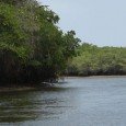 Puerto El Morro: delfines, aves y manglares A tan sólo una hora y media de viaje desde la ciudad de Guayaquil se encuentra Puerto El Morro, un bonito paraje del Ecuador en donde navegar en compañía de...
