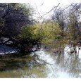Caminata nocturna en la Reserva Natural de Pilar El sábado 27 de febrero, a partir de las 21:30 horas, se llevará a cabo una “Caminata nocturna a la luz de la Luna” en la Reserva Natural de Pilar....