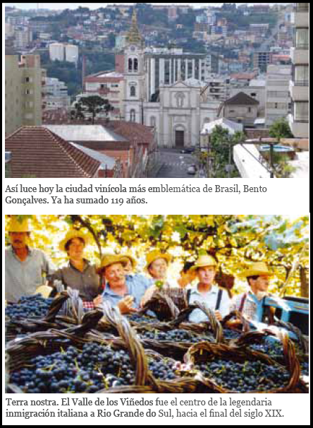 El paisaje sigue siendo exuberante en el estado más meridional del país, pero ya no es el de la selva atlántica, de la que solo hay vestigios. Ahora estamos en...