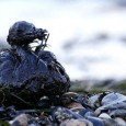 Derrame de petróleo en el Golfo de México El derrame de petróleo que desde el pasado 20 de abril azota el Golfo mexicano se transforma con el correr de los días en una catástrofe ambiental sin precedentes. Más...