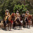 Huaca Pucclana, Pachacamac y caballos de paso Continuando con el recorrido efectuado en Perú, nos volvemos a detener en Lima, donde el proceso de urbanización ha respetado innumerables huacas, vestigios arqueológicos que resaltan en medio de la...
