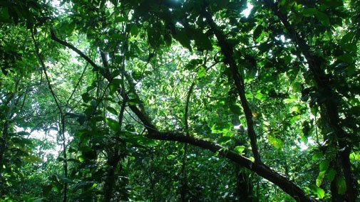 costa-rica costa-rica