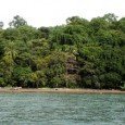 Dominical y el Parque Marino Punta Ballena Si Usted está pensando en pasar sus próximas vacaciones en una playa tropical, Costa Rica le ofrece los mejores escenarios naturales de América Central. Tal es el caso de Dominical,...