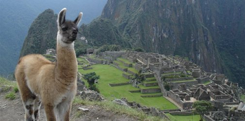 machu machu