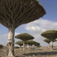 5 Destinos exóticos alrededor del mundo ¿Quién no se siente atraído por lo extraño y exótico? Más si esto viene de la mano de viajes alrededor del mundo. En esta ocasión se unen dos de las...