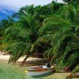 En los próximos días llega el evento Centroamérica Travel Market, como siempre Teleaire estará presente y ya nos adelanta cuales serán las novedades que van a poder vivirse en una...