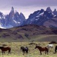 La Patagonia Argentina es uno de los lugare más increíbles del país y Teleaire tuvo la oportunidad de visitar sus destinos turísticos más importantes. En un recorrido imperdible que comienza...