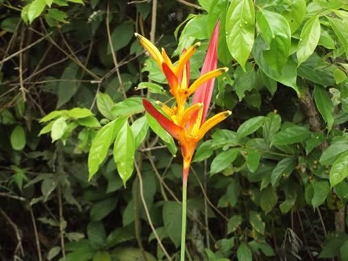 DSC04253