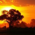 Consejos para realizar un viaje a Sudáfrica Sudáfrica es un país que con el correr de los años ha aumentado considerablemente el número de turistas que recibe, y la infraestructura avocada a dicho movimiento de masas también...