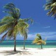 Si bien la República de Cuba es uno de los destinos más impresionantes y cautivantes que se puede encontrar en el planeta, para recorrer polos turísticos tan bellos como éste,...